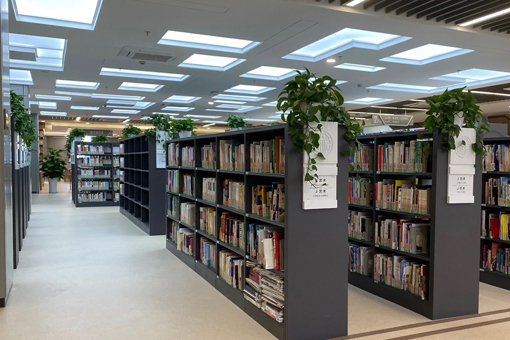 Projet d’éclairage d’ingénierie de bibliothèque Anji en novembre 2019